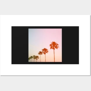 Summer Palms Posters and Art